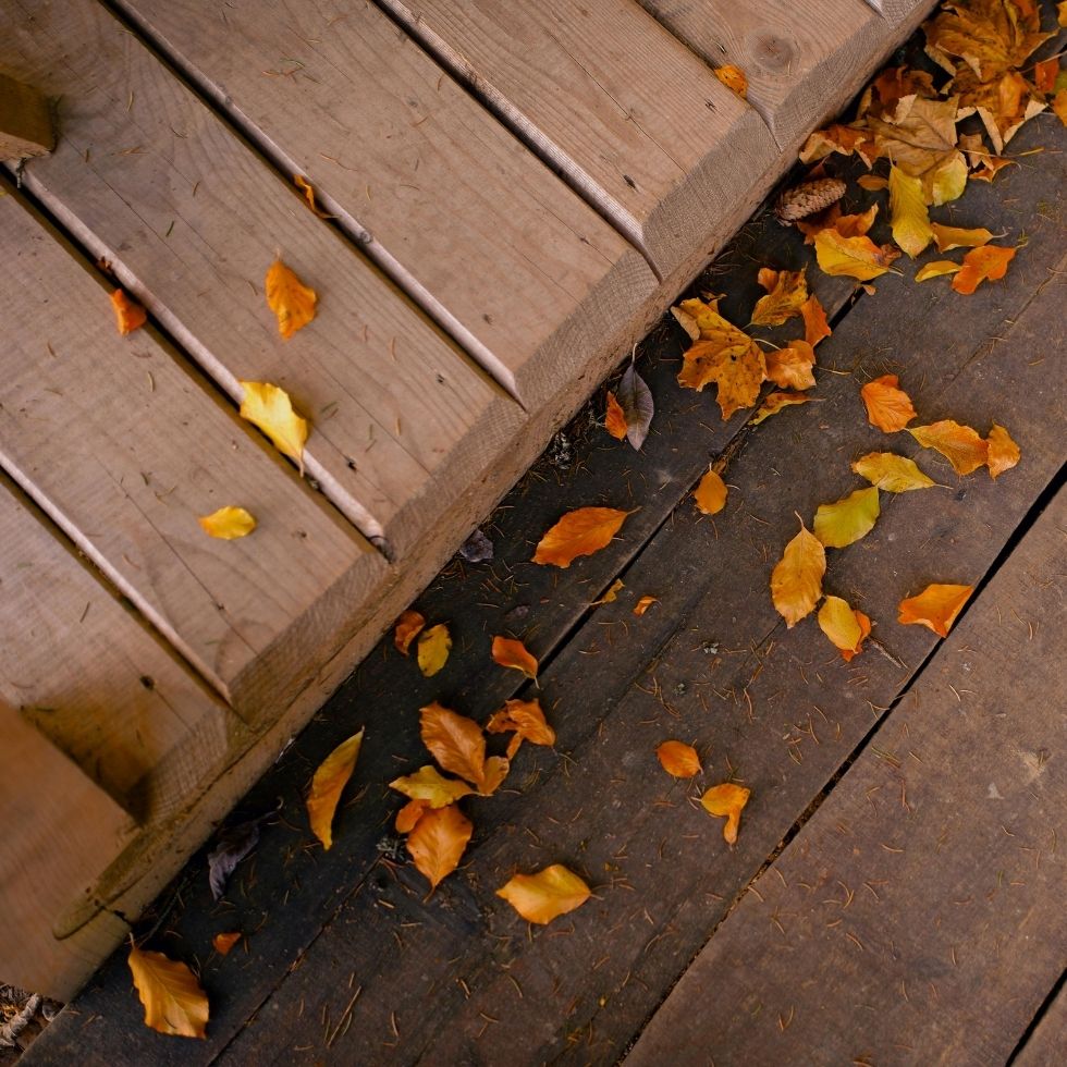 Why Autumn Is the Best Time to Oil Your Deck Before Winter