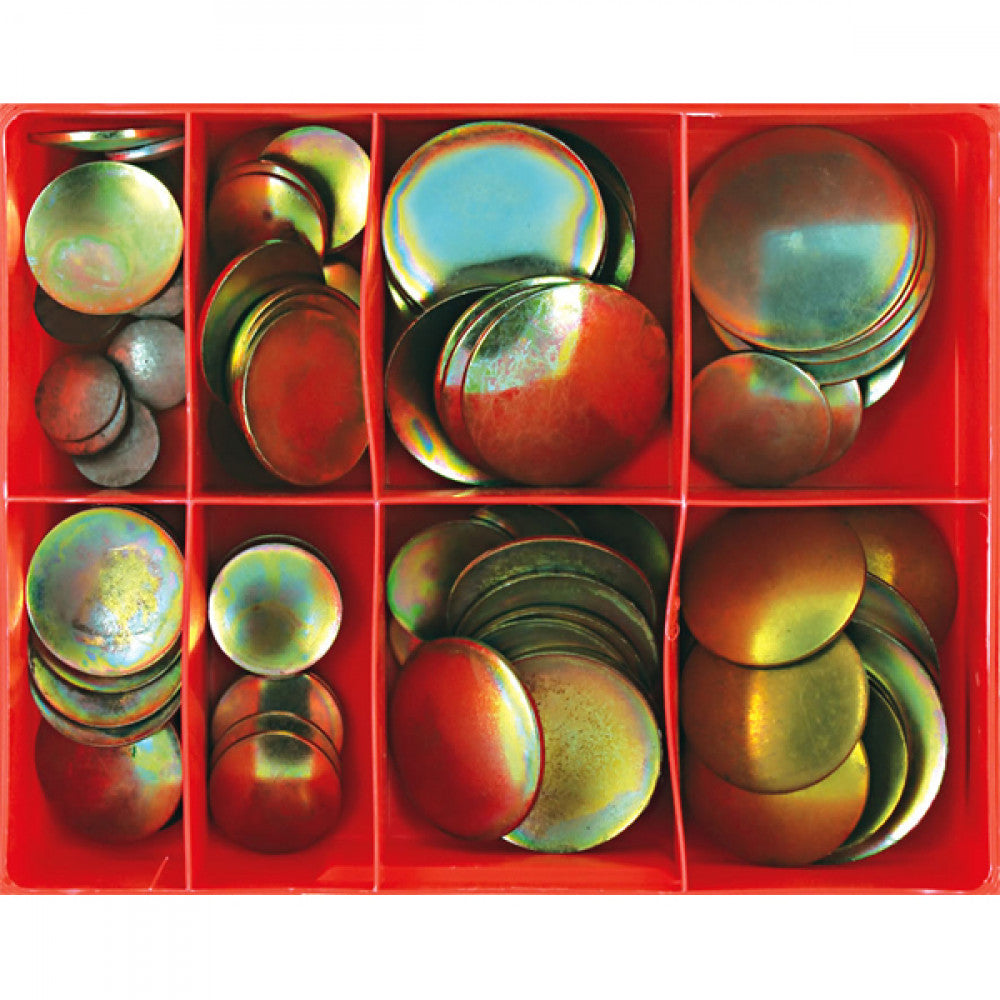 Champion 100Pc Lens Type Steel Exp Plug Assortment