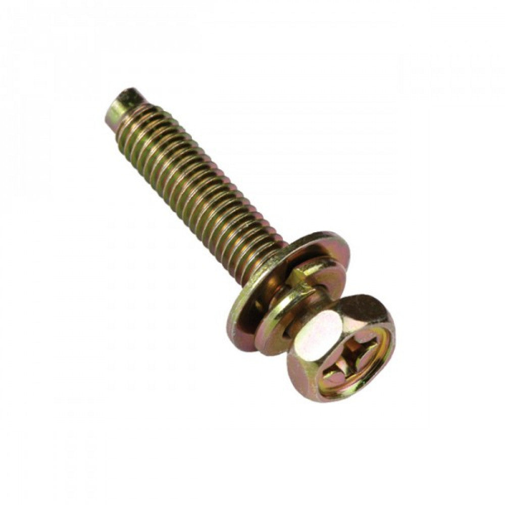M6 x 30mm SEMS HEX/PH BOLT W/SPRING & FLAT WASHER
