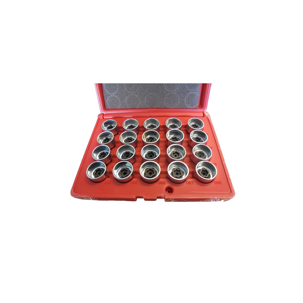 T&E Tools 20Pcs BMW Wheel Bolt Lock Set