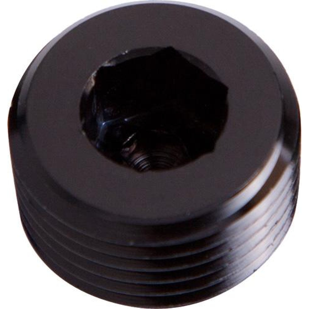 Aeroflow NPT Plug 3/8" Black #932-06BLK