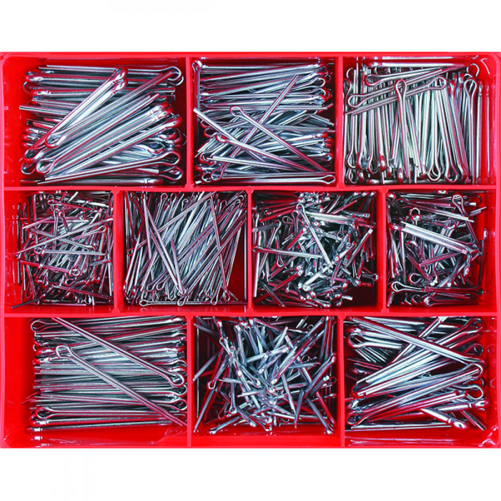 Champion 795Pc Mm & Af Split (Cotter) Pin Assortme