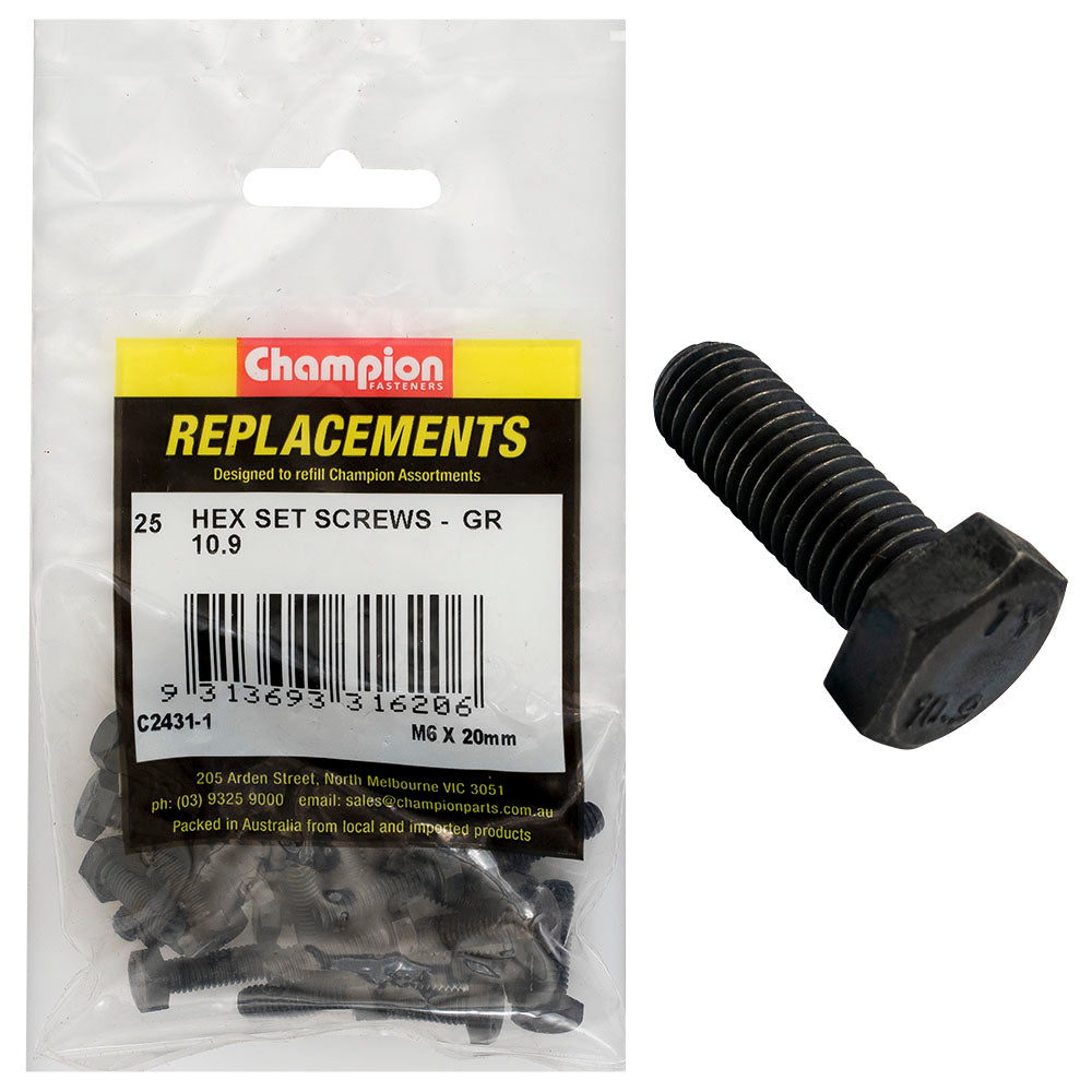 Champion Hex Set Screws High Tensile M6 x 20mm - 25 Pack