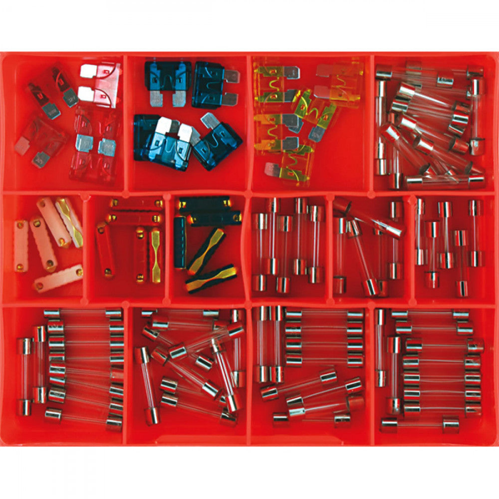 100Pc Auto Fuse Assortment (Glass, Blade & Euro)