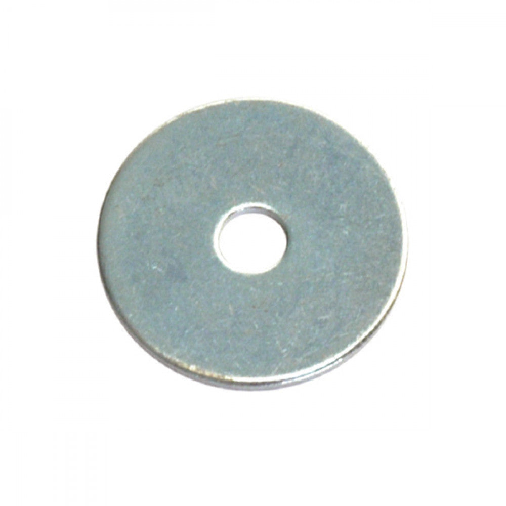 Champion 6mm Panel Washer - 316/A4 (A)