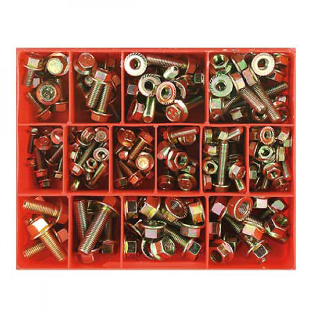 202Pc Flange Head Metric Bolt & Nut Assortment