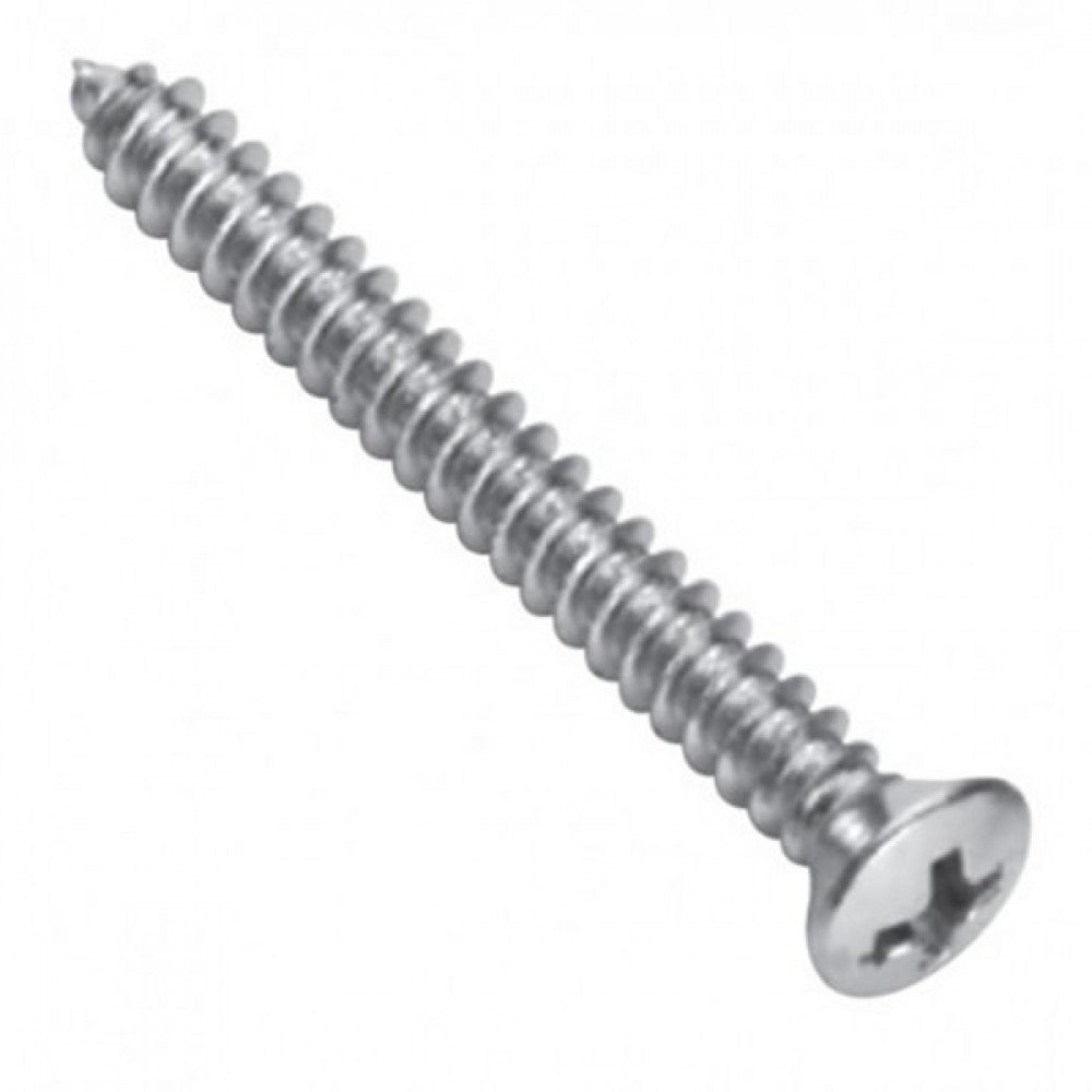 Champion 8G x 1in S/Tapping Screw -Rsd -Ph -316/A4