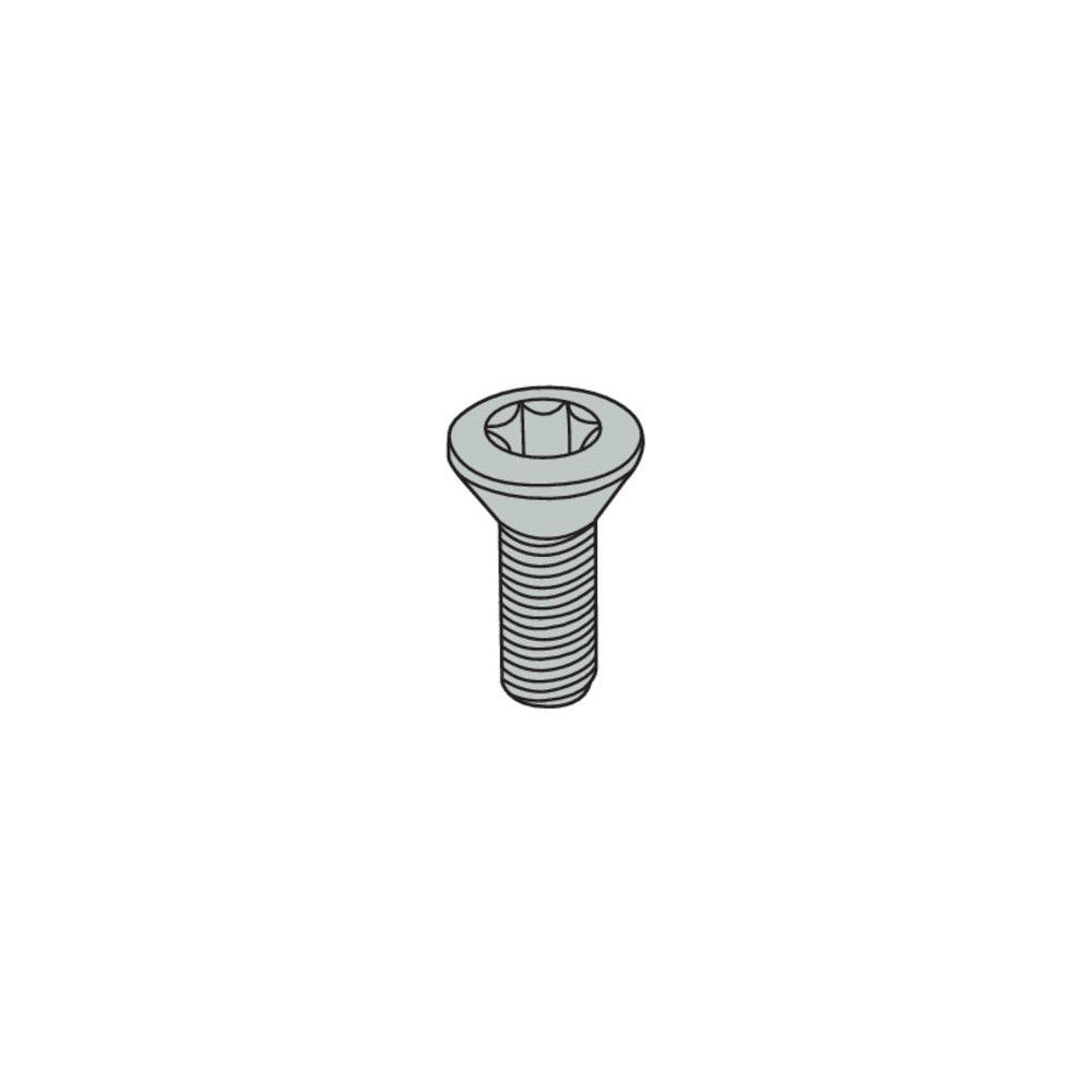 CS5008-T09P Screw ( SM9,525 )