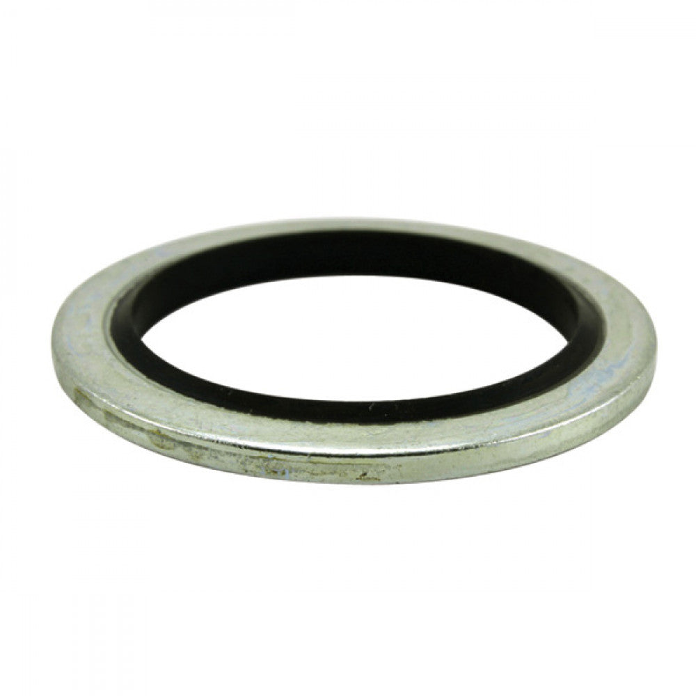 Champion Dowty Washer Suits 1/2 Bsp -15Pk