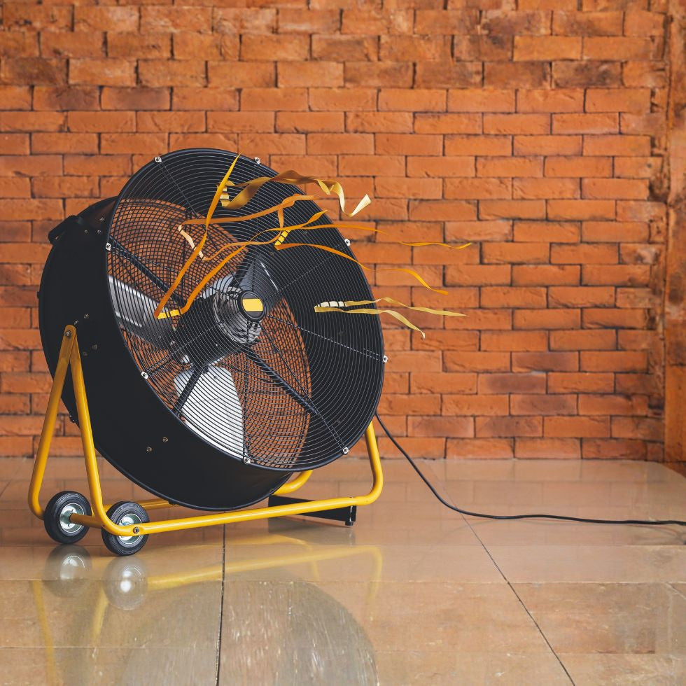 Best Fans for Sheds & Workshops in NZ: Ventilation & Cooling Guide