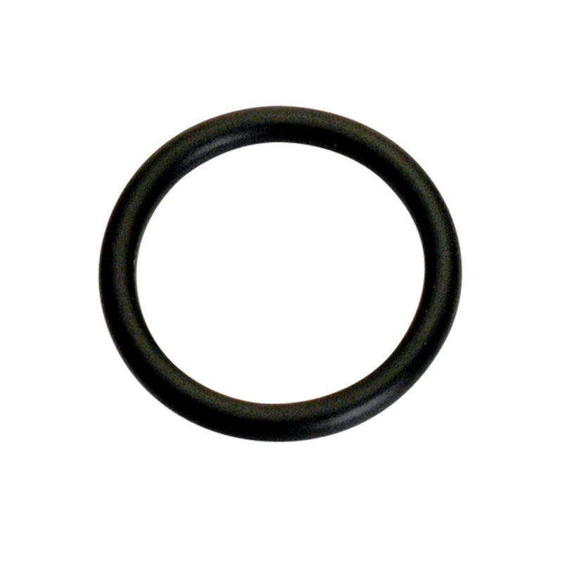 Champion 21mm (I.D.) x 2.5mm Metric O-Ring - 50Pk