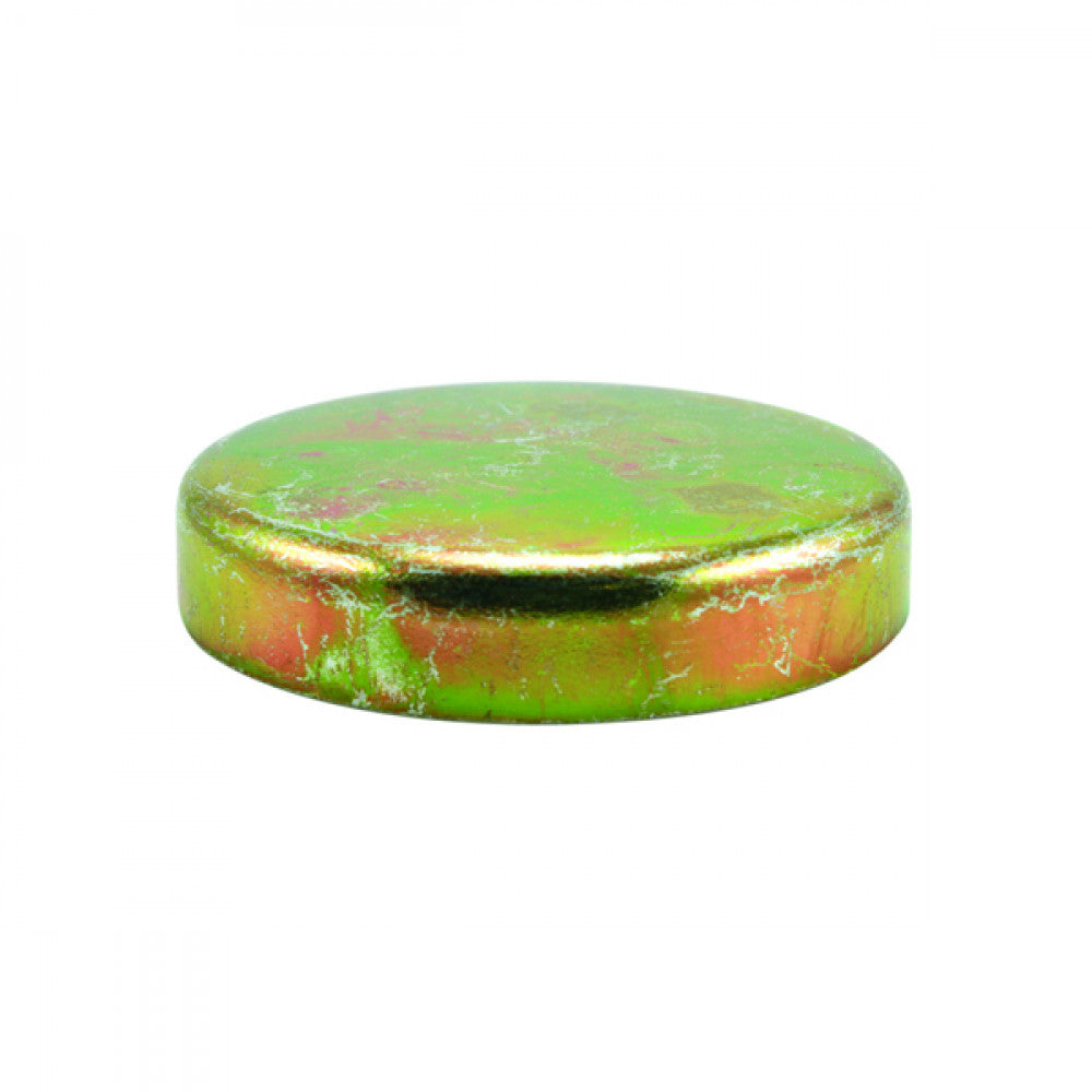 Champion 1-5/8in Steel Expansion (Frost) Plug -Cup