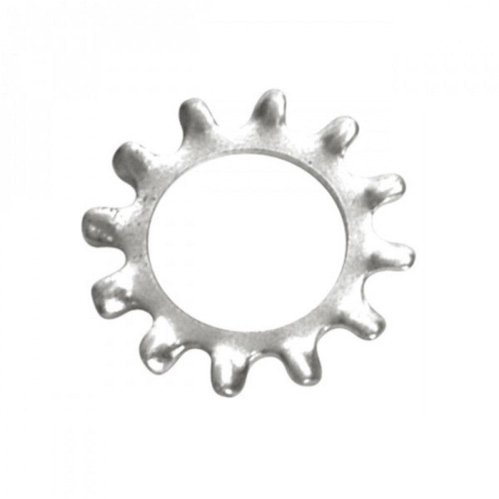 Champion 1/4in External Star Washer - 100Pk