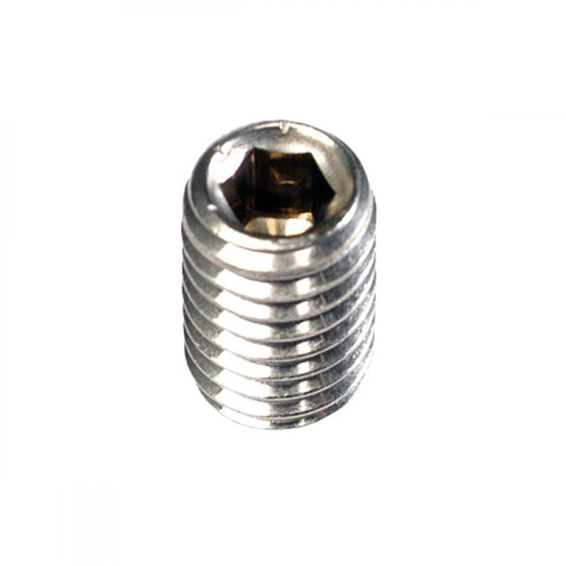 Champion M8 x 8mm Socket Grub Screw -10Pk