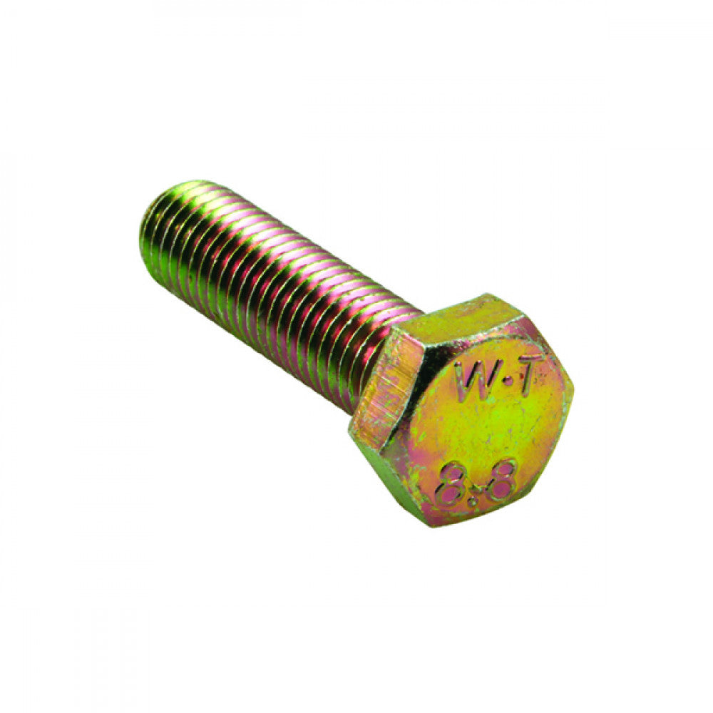 Champion M6 x 25mm x 1.00 Set Screw -Gr.8.8 -10Pk
