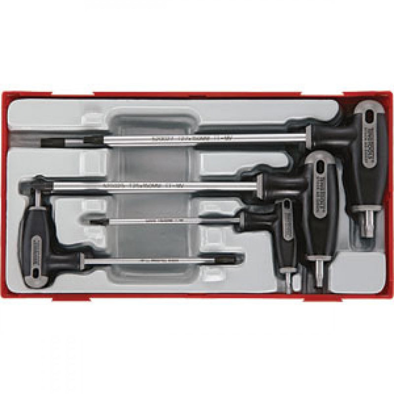 Teng 7Pc T-Handle Tx/Tpx Set 10-40 - Tc-Tray