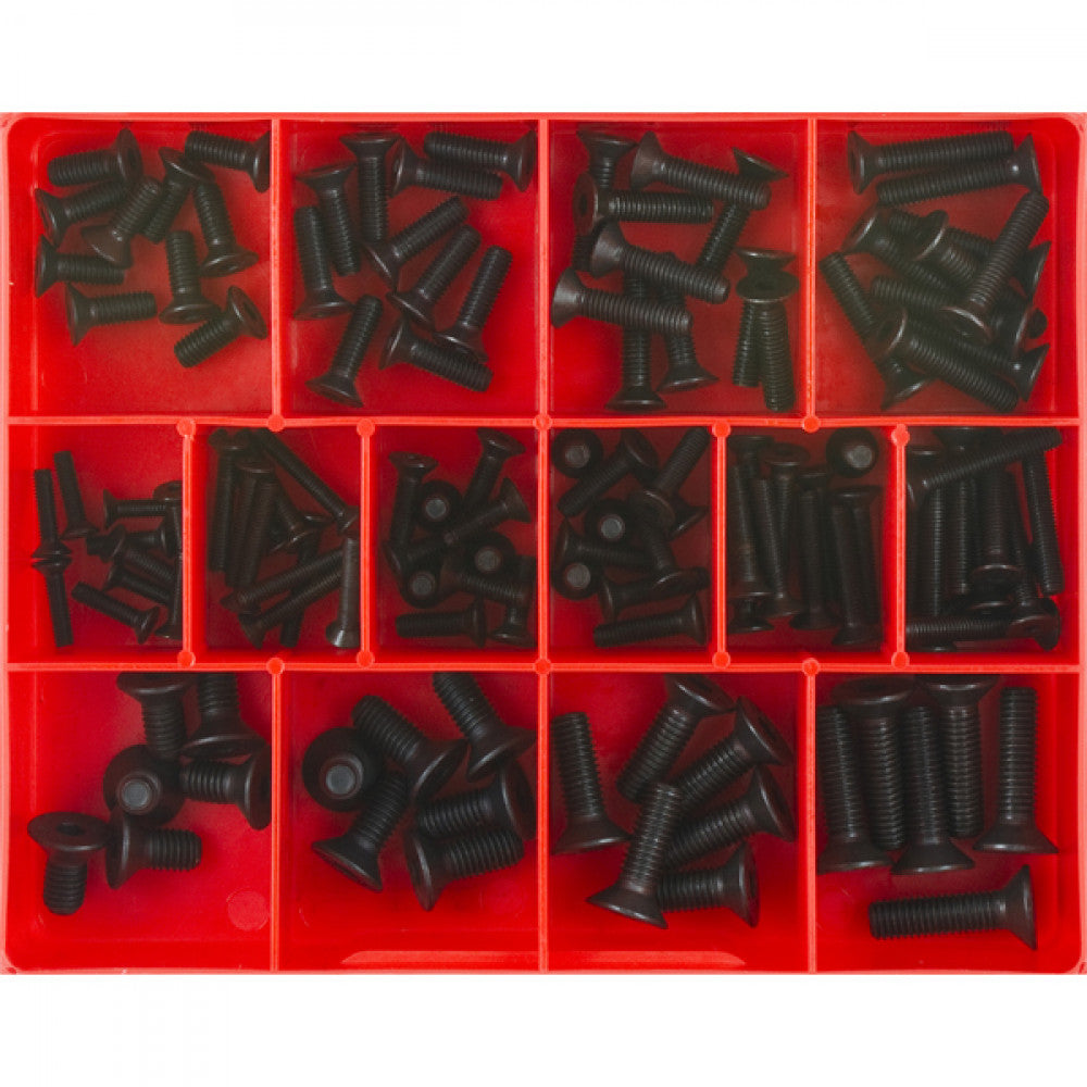 124Pc Metric Csk Socket Head Cap Screw Assortment