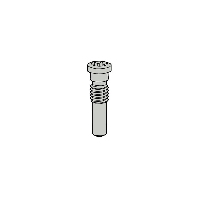 L82511-T07P Screw