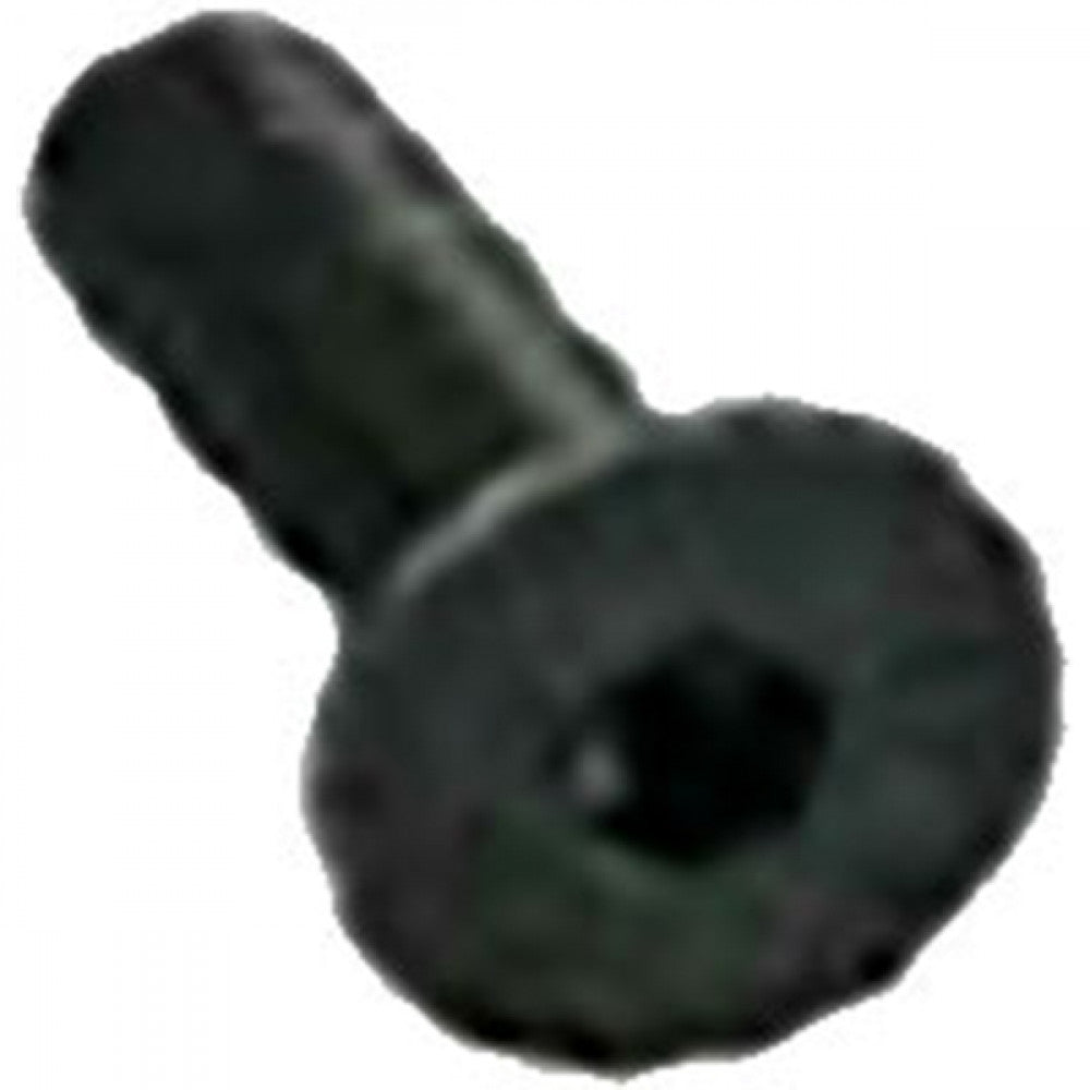 Champion M6 x 25mm C/Sunk Socket Head Cap Screw -1