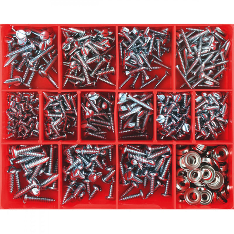 Champion 610Pc Slotted Self Tapping Screw Assortme