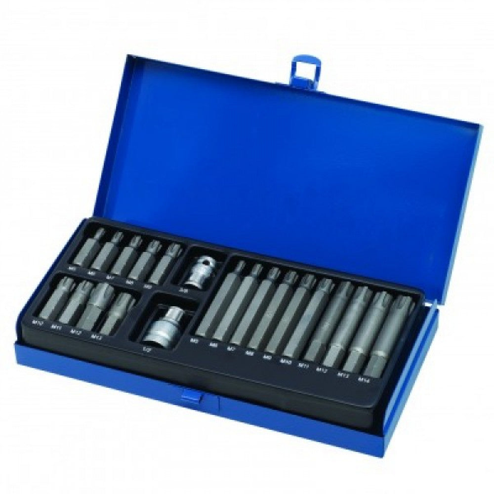 Bit Set, Ribe 21 Pc