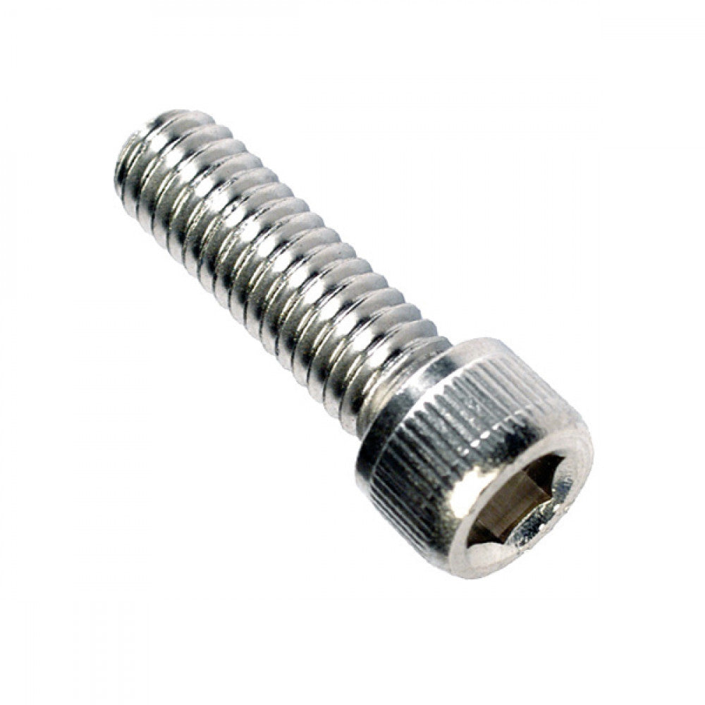 M6 x 10mm Socket Cap Screw 316/A4 - 10Pk