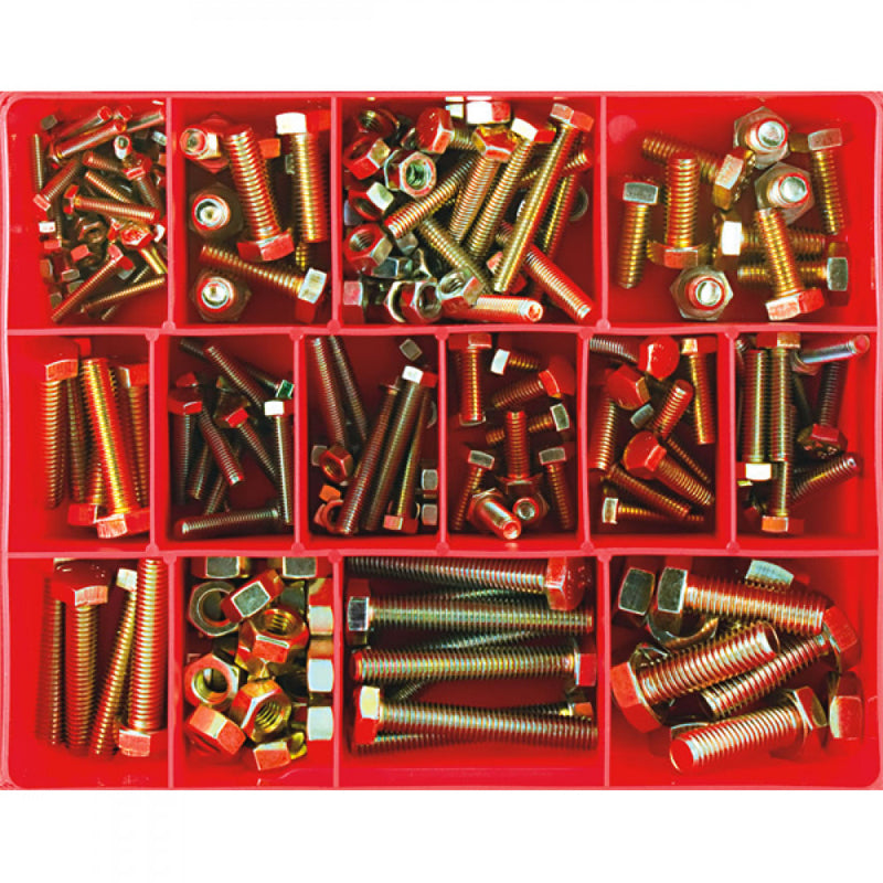 221Pc Metric Set Screw & Nut Assortment