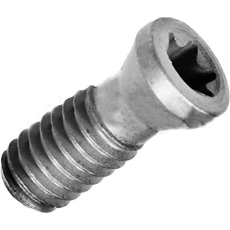 WS1920-T20P Locking Screw