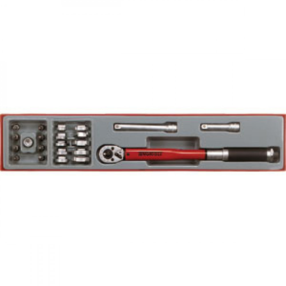 22Pc 3/8in Dr.Torque Wrench Set 20-100Nm