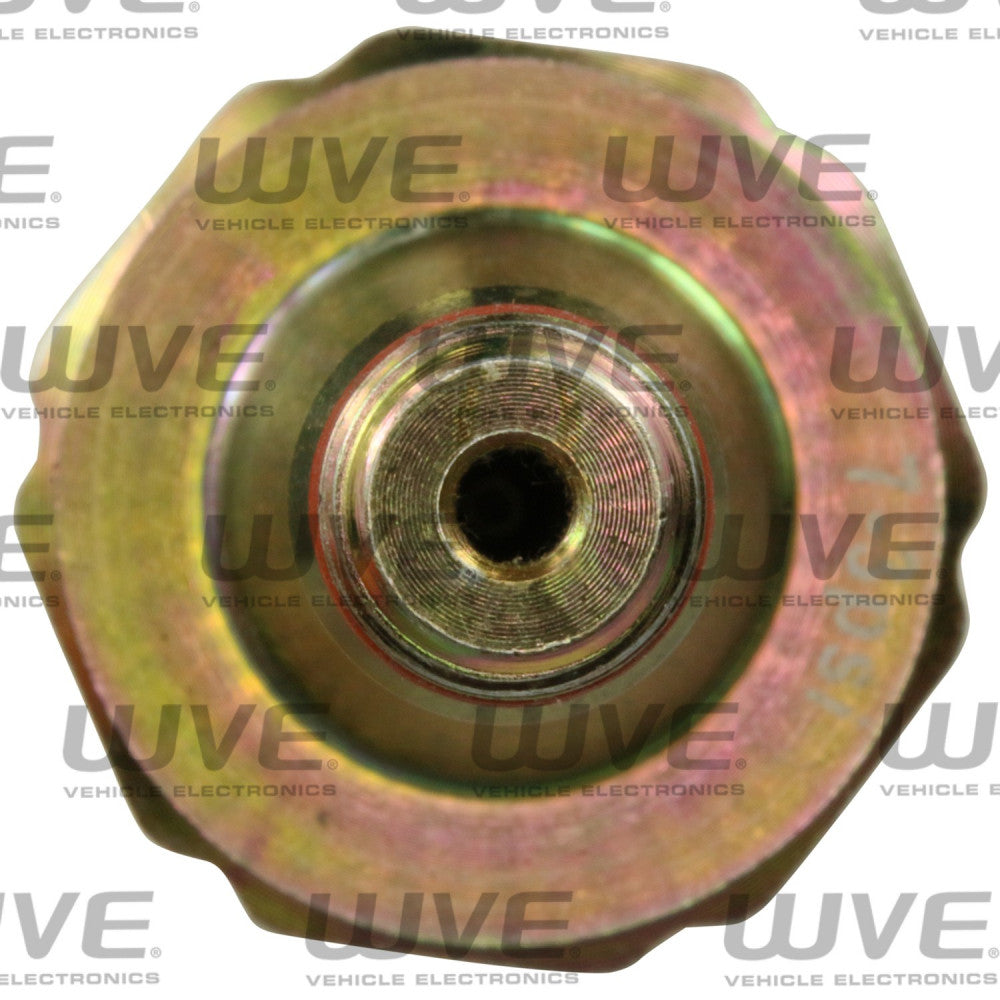 WVE Oil Pressure Sender (Chev SB) With Light 1/8" - 27 Dryseal Thread #6649