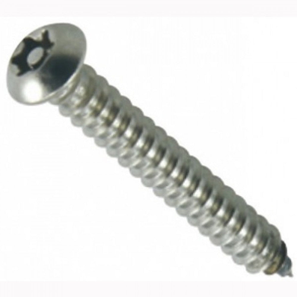 Champion 12G x 3/4in Self-Tapping Screw Pan Tpx 30