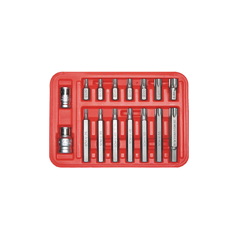 T&E Tools 16Pc Tamper Torx Bit Set