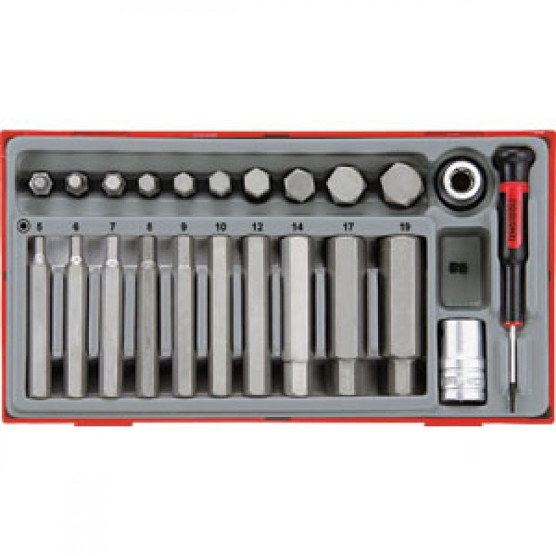 Teng 23Pc Hex Bits Set 5-19Metric - Tc-Tray