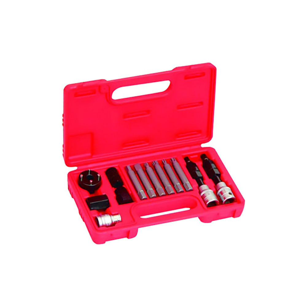 T&E Tools 13Pc Alternator Insert Bit Service Set