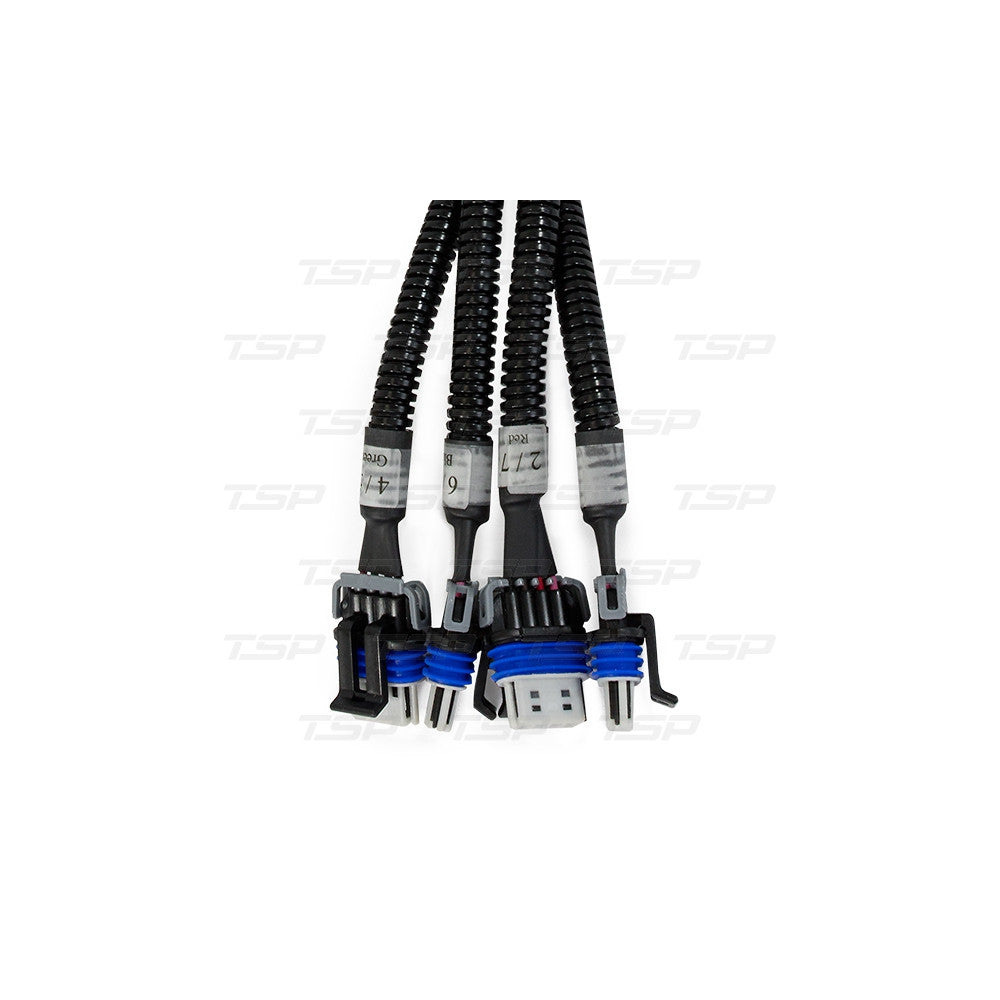 TSP LS Ignition Coil Relocation Harnesses #81024