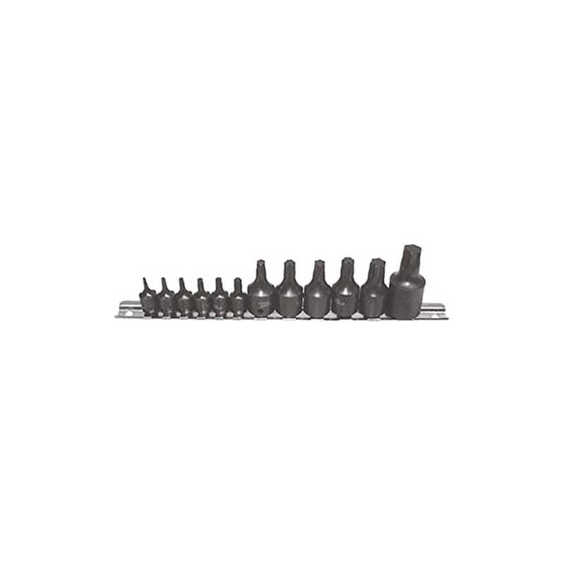 T&E 12Pc Torx Socket Bit Set (T10-T60)