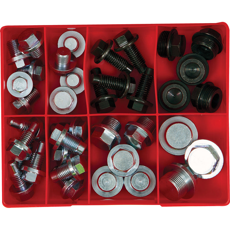 Champion 40Pc Drain Plug Assortment