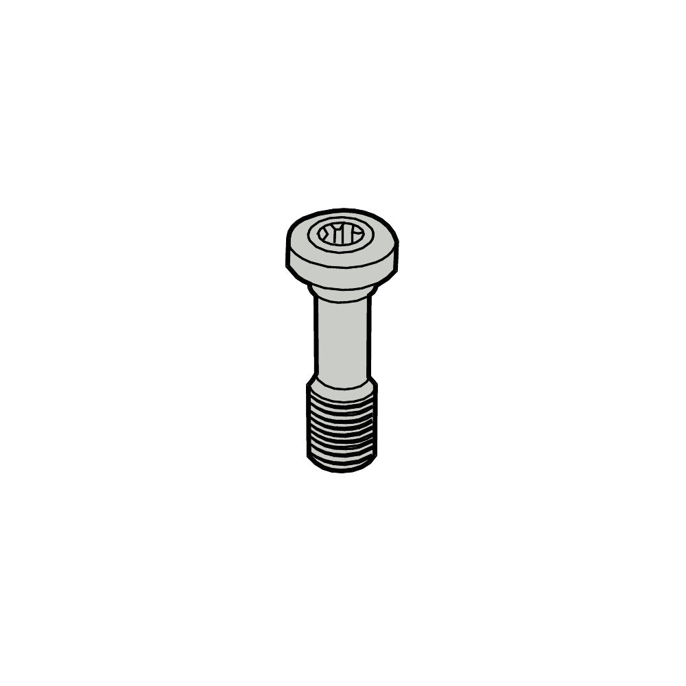 L85011-T15P Screw