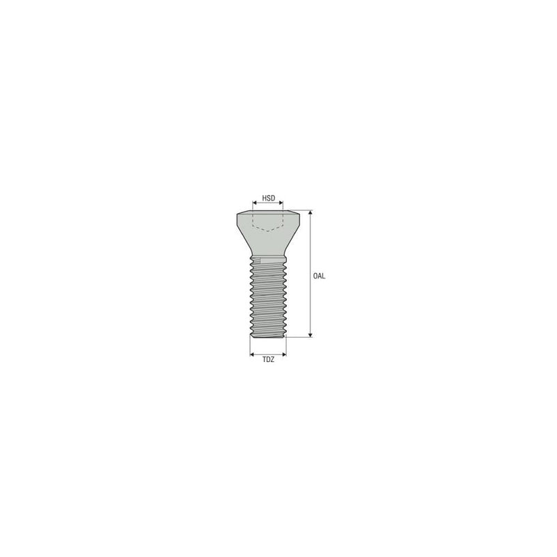 C04008-T15P Screw