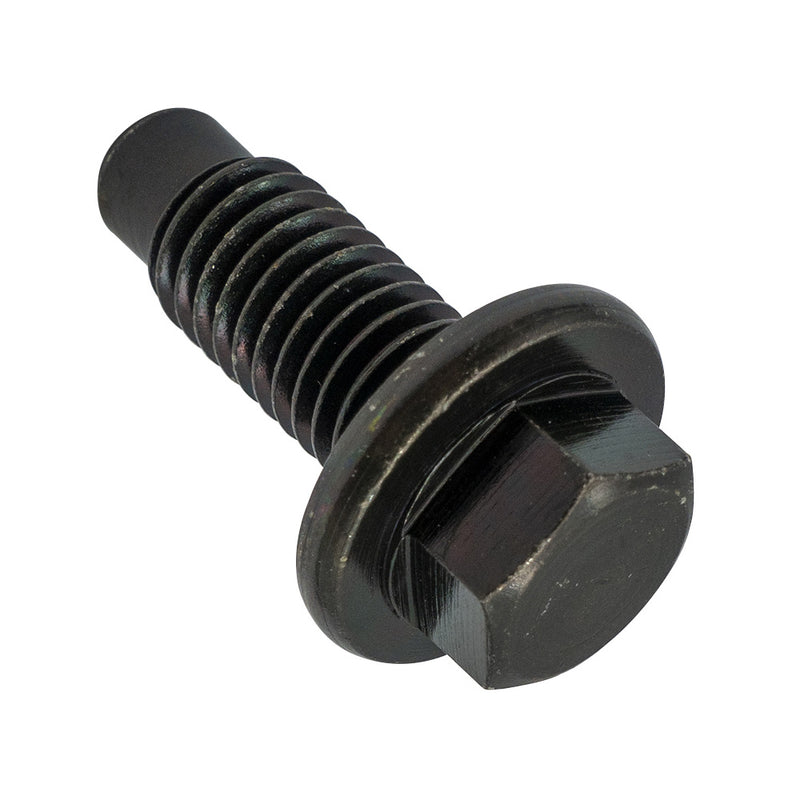 Champion Drain Plugs – M12 x 1.75mm - 5 Pack