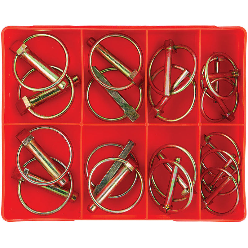 Champion 18pc Lynch Pin Assortment