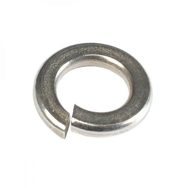 M6 Stainless Spring Washer 304/A2 - 50Pk