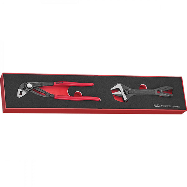 Teng 2Pc Plier/Adjustable Wrench Set - Tex-Tray**